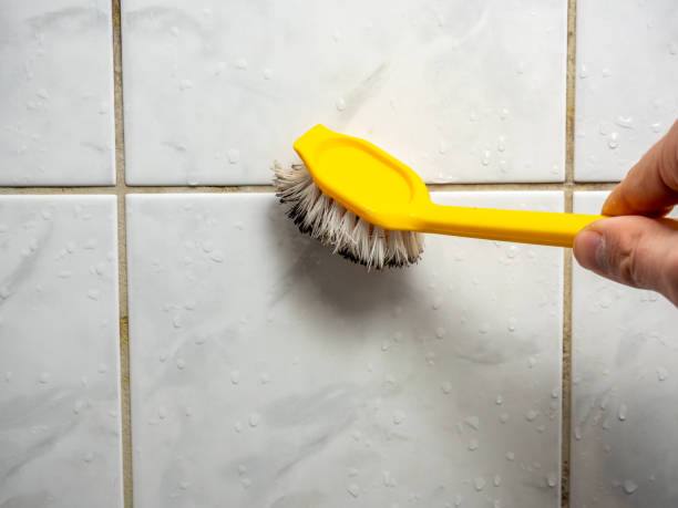 Best Office Mold Removal Services  in Teague, TX