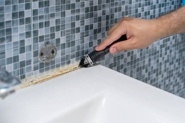 Best Emergency Mold Removal  in Teague, TX