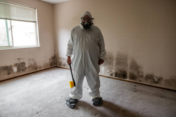 Best Mold Removal Near Me  in Teague, TX