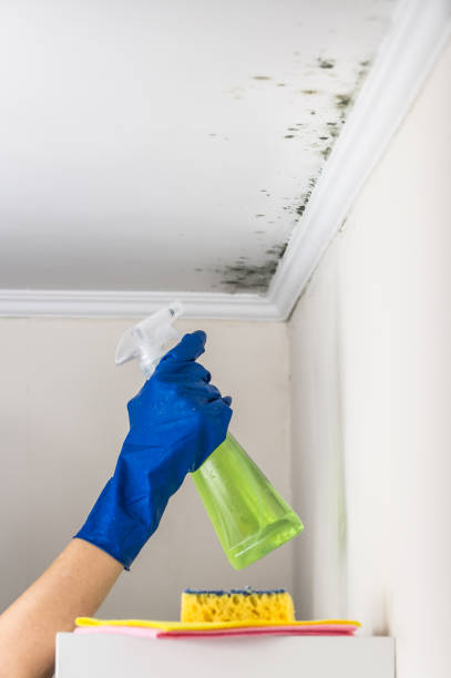 Best Crawl Space Mold Removal  in Teague, TX