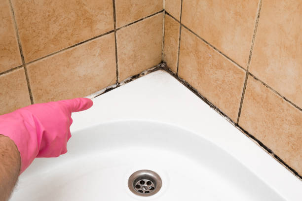 Best Crawl Space Mold Removal  in Teague, TX